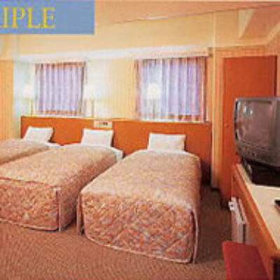 Busines Hotel Nissei