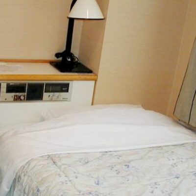 Niigata Park Hotel