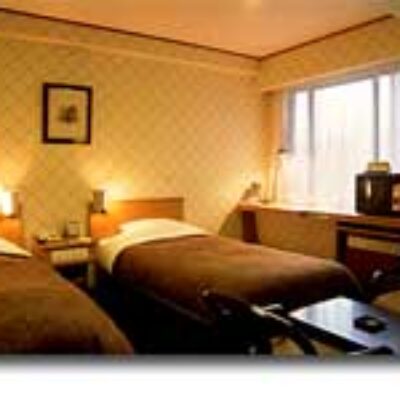 Niigata Station Hotel
