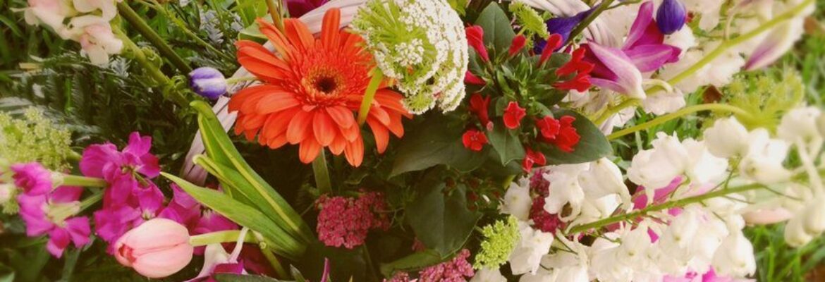 Floral Promotions