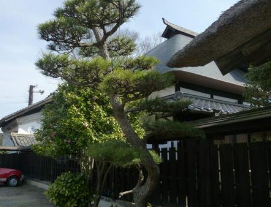 Dochuan Youth Hostel