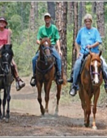 Sullivan County Visitors Association