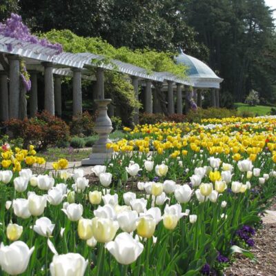 Maymont Park