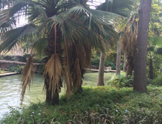 San Antonio Riverwalk
