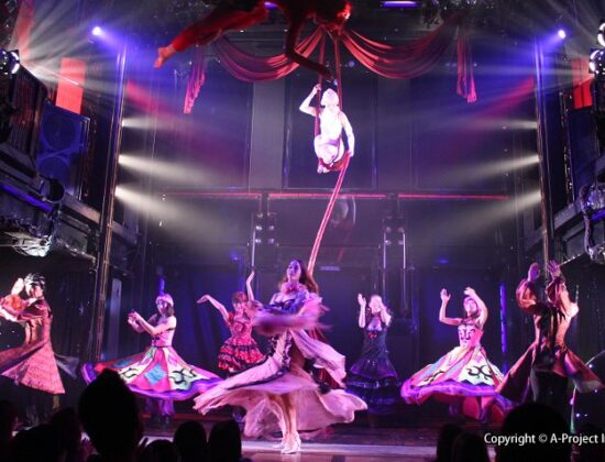 Roppongi Kingyo Dinner Theater