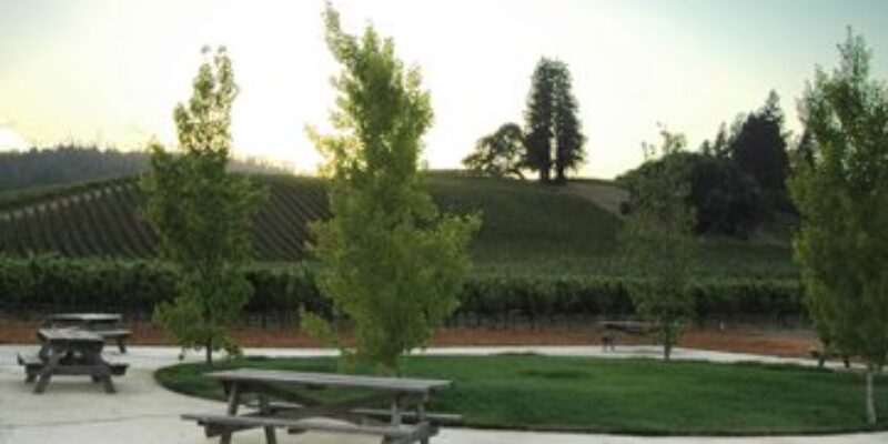 Goldeneye Winery