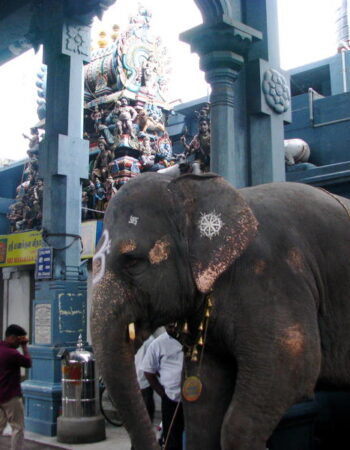 Pondicherry