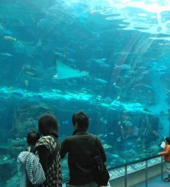 Port of Nagoya Public Aquarium