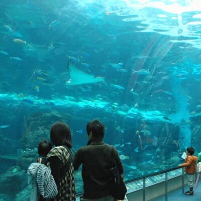 Port of Nagoya Public Aquarium