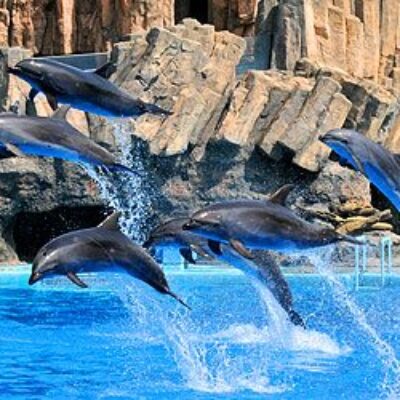 Port of Nagoya Public Aquarium