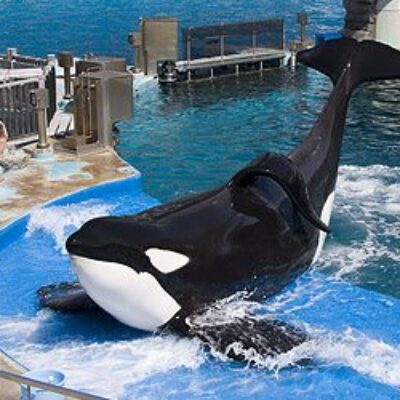 Port of Nagoya Public Aquarium