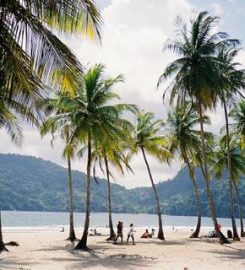 Maracas Bay