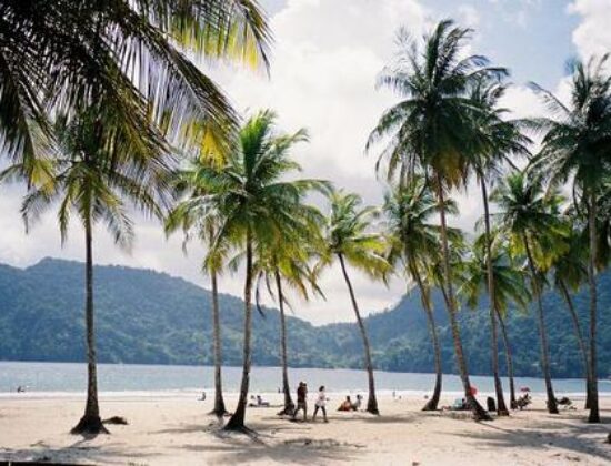 Maracas Bay