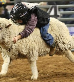 Houston Livestock Show & Rodeo