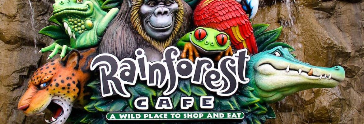 Rainforest Cafe (Disney World Animal Kingdom)