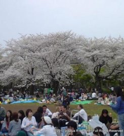 Yoyogi Park