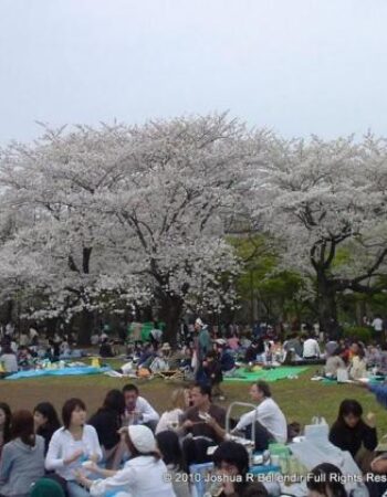 Yoyogi Park