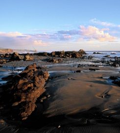 Carpinteria State Beaching