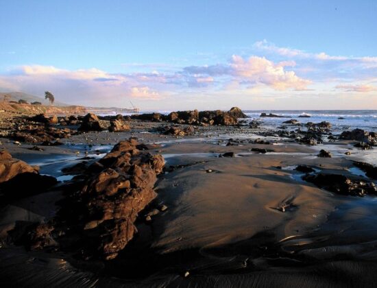 Carpinteria State Beaching