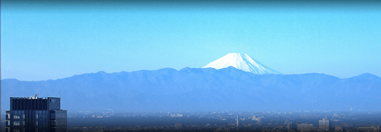 Cerulean Tower Tokyu Hotel