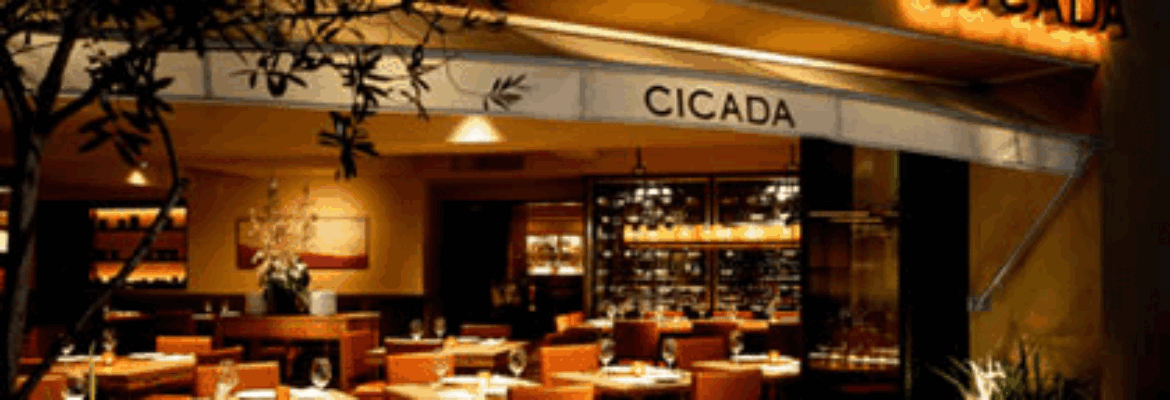 Cicada