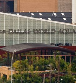 The Dallas World Aquarium