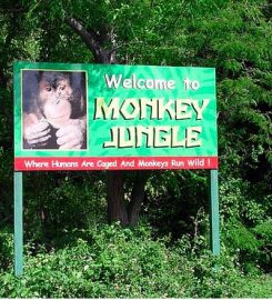 Monkey Jungle Park and Research Center