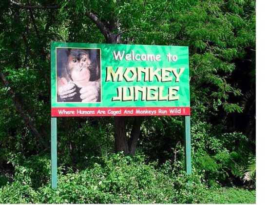 Monkey Jungle Park and Research Center