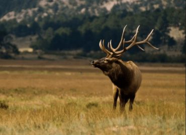 Rocky Mountain National Park