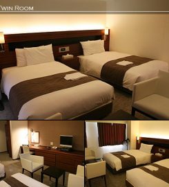 Shizuoka Daiichi Hotel