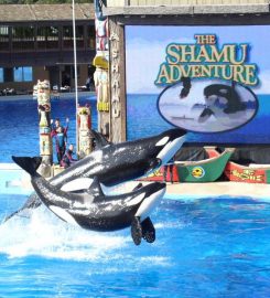 Sea World Park – San Diego