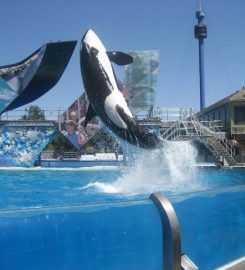 Sea World Park – San Diego