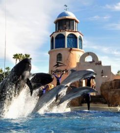 Sea World Park – San Diego