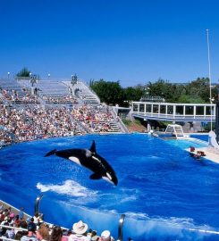 Sea World Park – San Diego