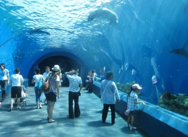 YOKOHAMA HAKKEIJIMA SEA PARADISE