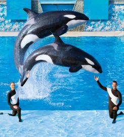 Seaworld Orlando