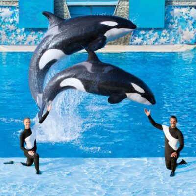 Seaworld Orlando