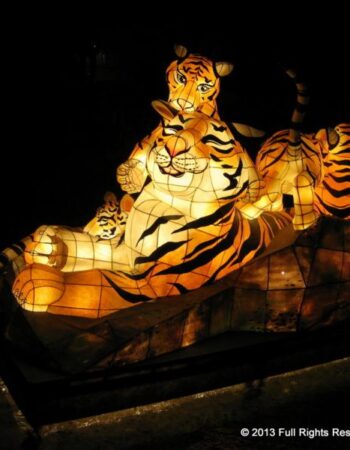 Seoul Lantern Festival