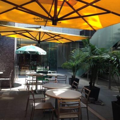 Serafina New York