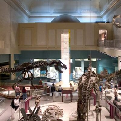 Smithsonian National Museum of Natural History