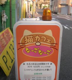 Nago Nago Cat Cafe