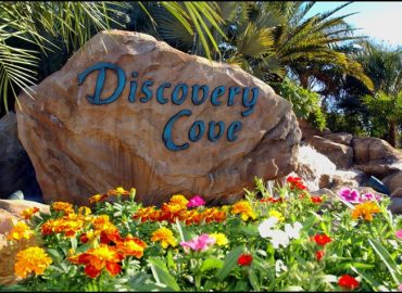 Discovery Cove