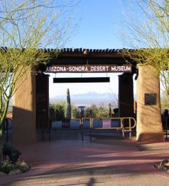 Arizona-Sonora Desert Museum