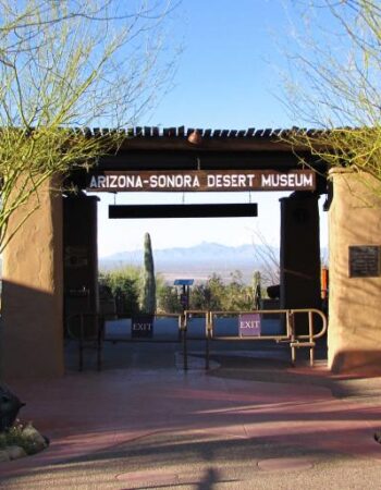 Arizona-Sonora Desert Museum