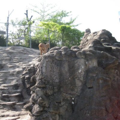 Tennoji Zoo