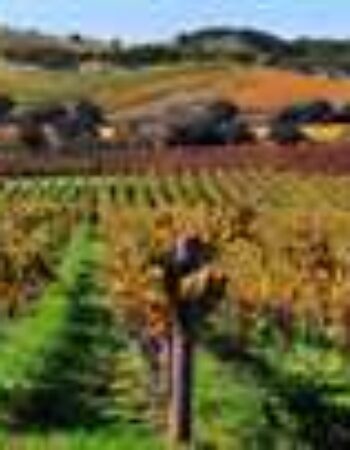 Napa Valley