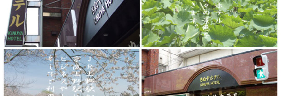 Kinuya Hotel
