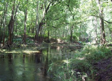 Ichetucknee Springs State Park