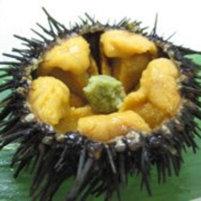 Umegaoka Sushi No Midori Sohonten