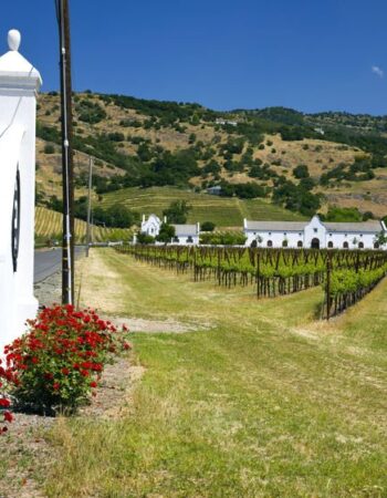 Napa Valley